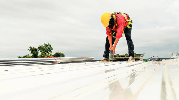 Best Green or Eco-Friendly Roofing Solutions  in Westvle, IL