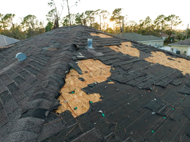Best Steel Roofing  in Westvle, IL