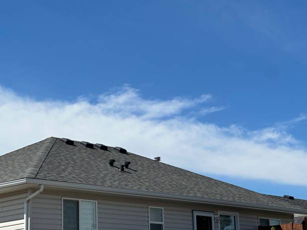 Best Slate Roofing  in Westvle, IL